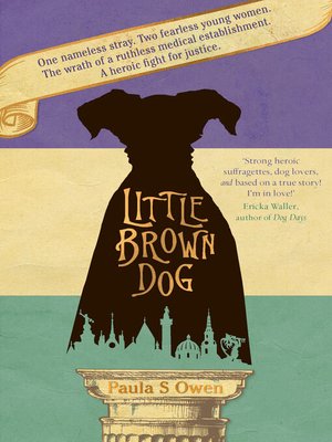 cover image of Little Brown Dog